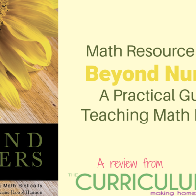 Homeschool Math Resource Review: Beyond Numbers