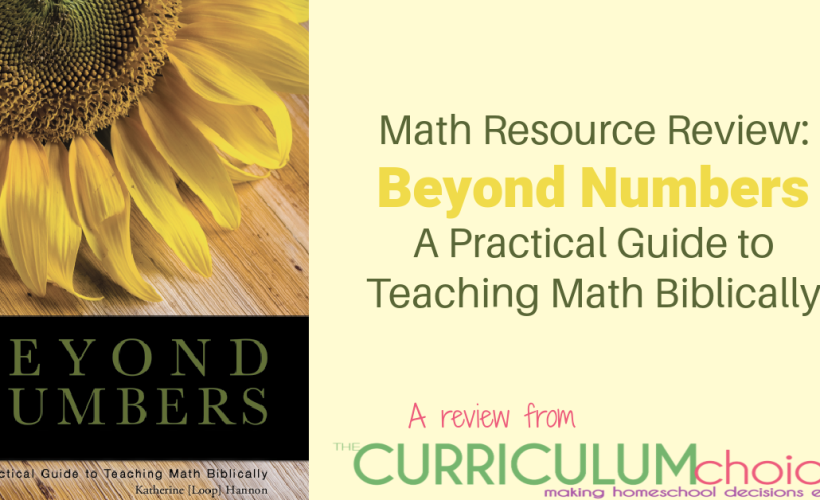will help you learn how to see and teach math from a biblical worldview in an easy to read and understandable way.
