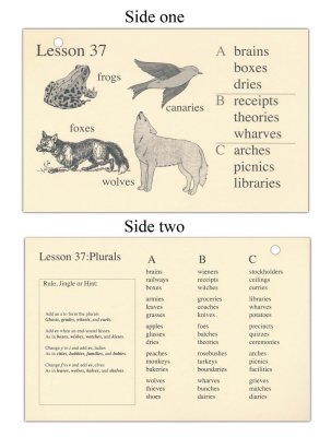 Phonetic Zoo - Excellence in Spelling is a phonics program that uses an auditory approach to teach spelling.