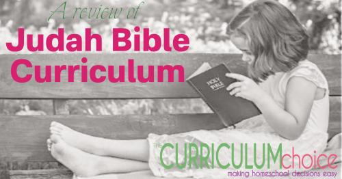 Judah Bible Curriculum guides your family through reading the Bible each year using 1 of 5 overreaching themes.