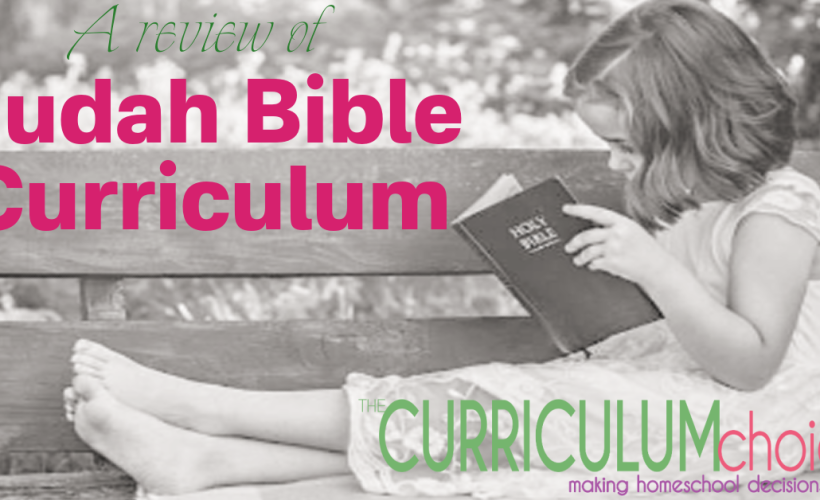 Judah Bible Curriculum guides your family through reading the Bible each year using 1 of 5 overreaching themes.