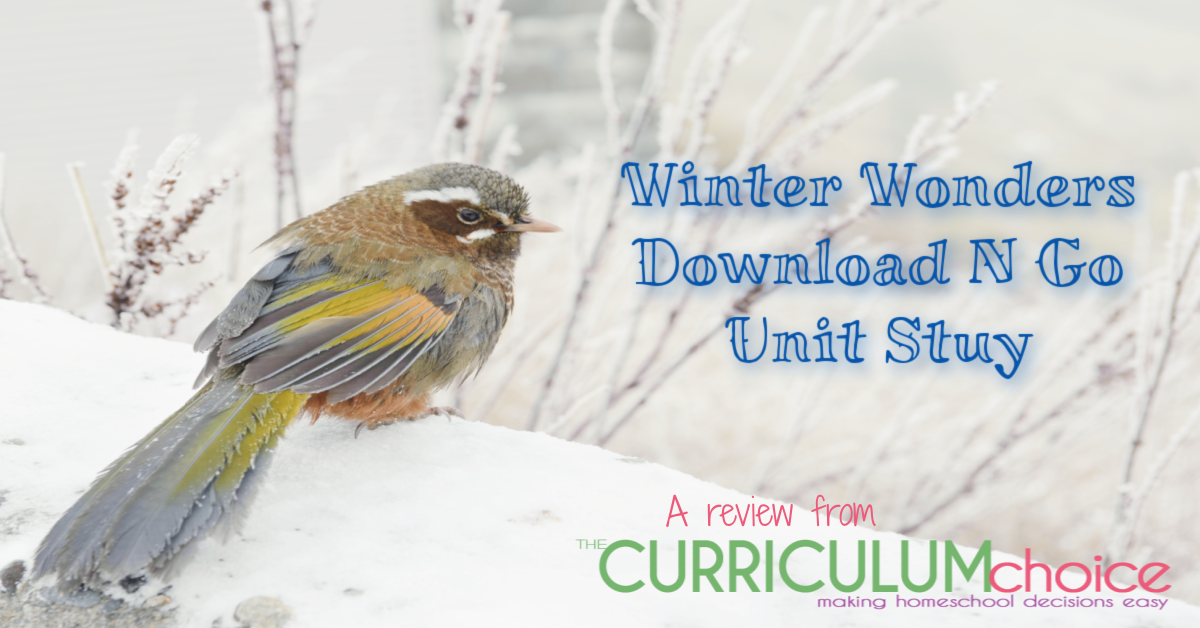 Winter Wonders Download N Go Unit Study