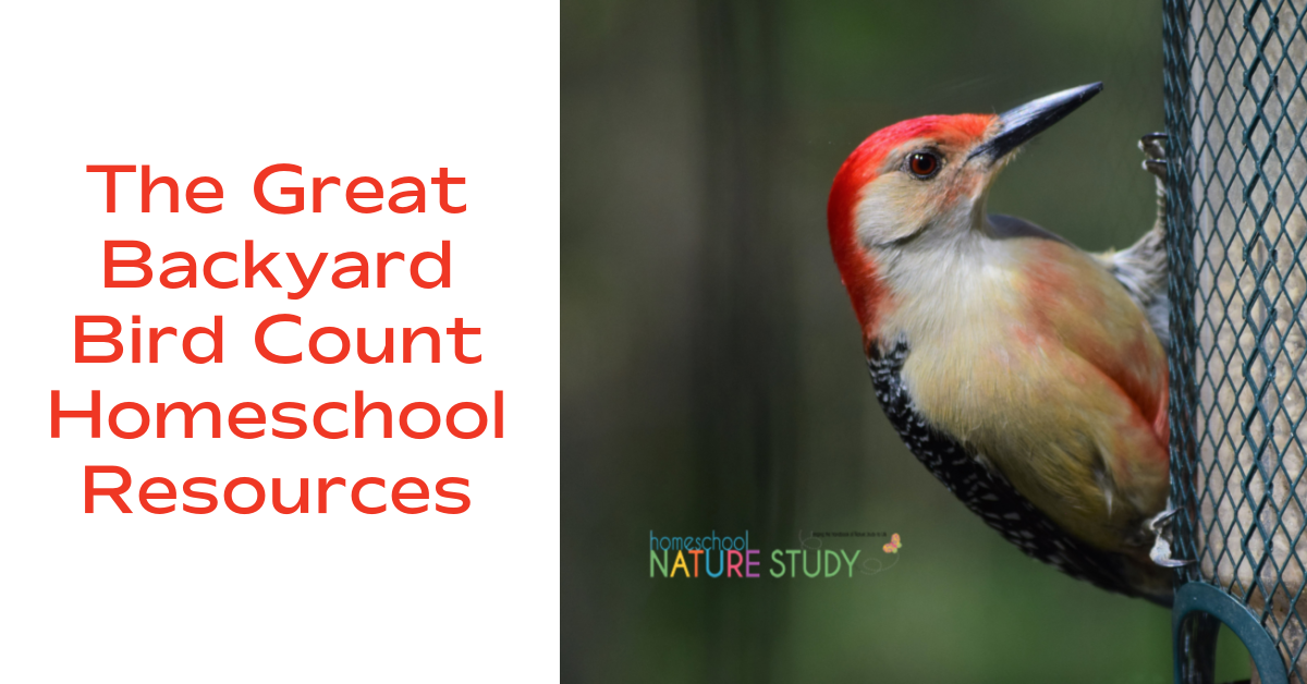 The Great Backyard Bird Count Homeschool Resources