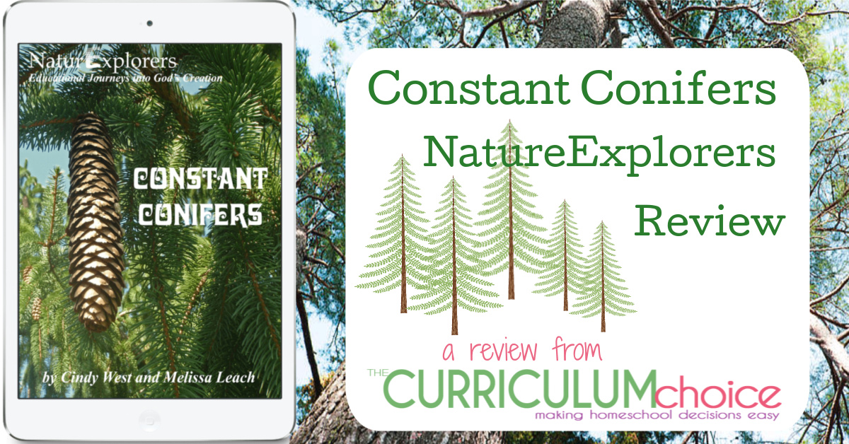 Constant Conifers – NaturExplorers Review