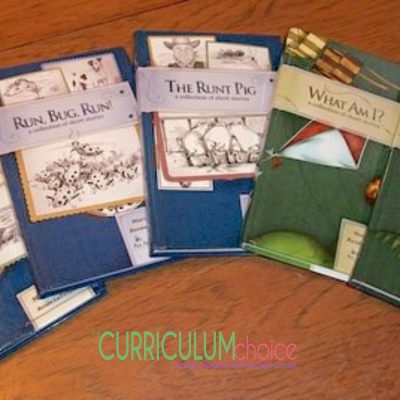Beginning Readers from All About Reading