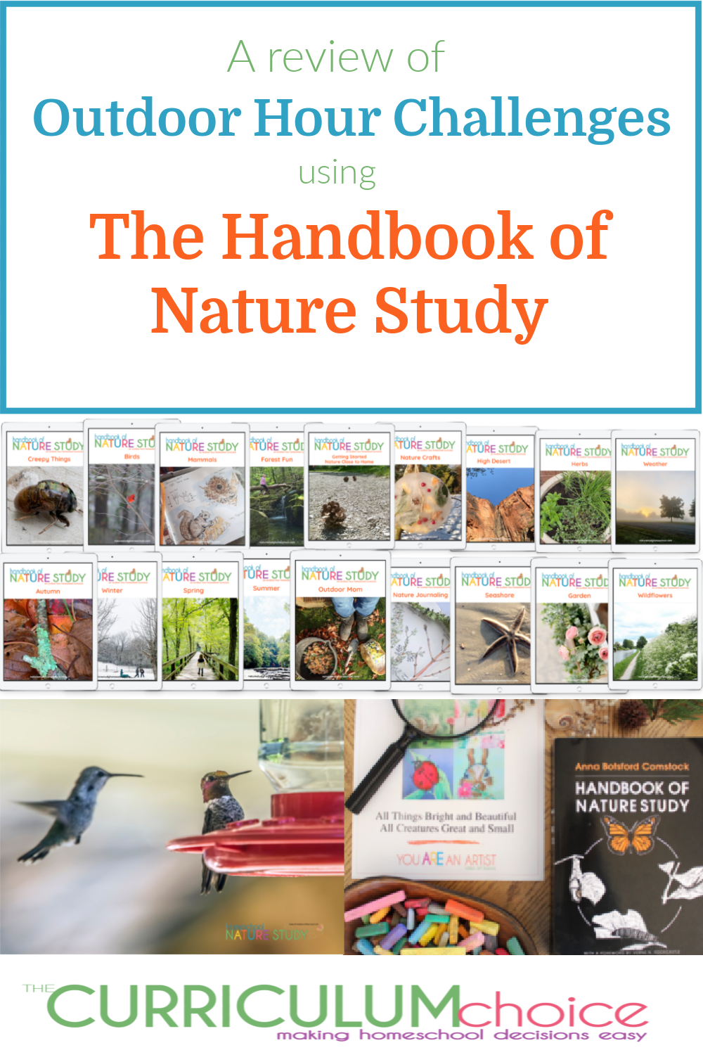 3 Tips for Nature Journaling When You Think You Can't Sketch - Homeschool  Nature Study