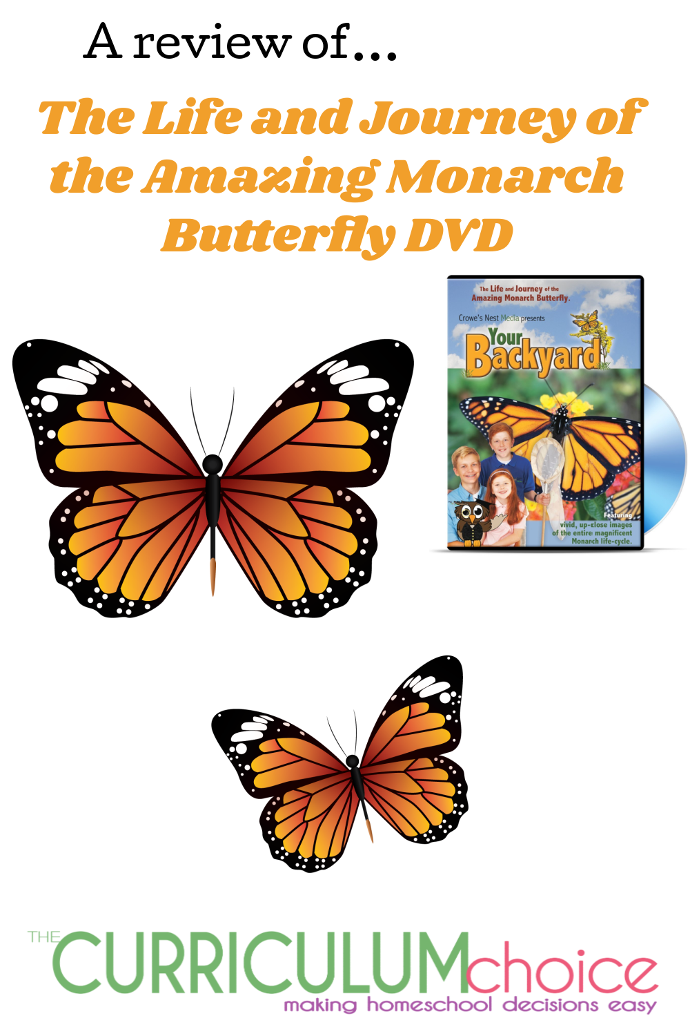 Monarch Butterflies Emerge: A Closer Look into a Magnificent Life Cycle