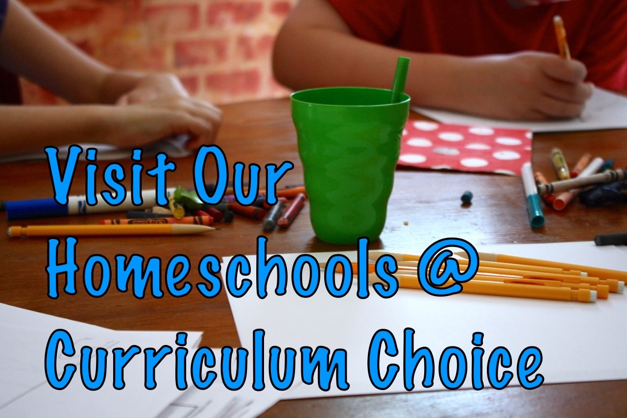 A Visit With Curriculum Choice Review Authors