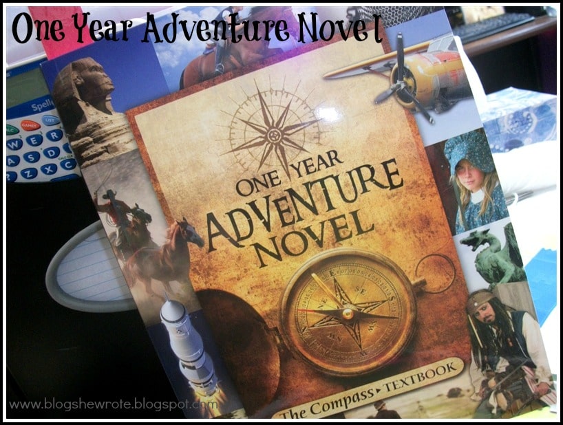 One Year Adventure Novel