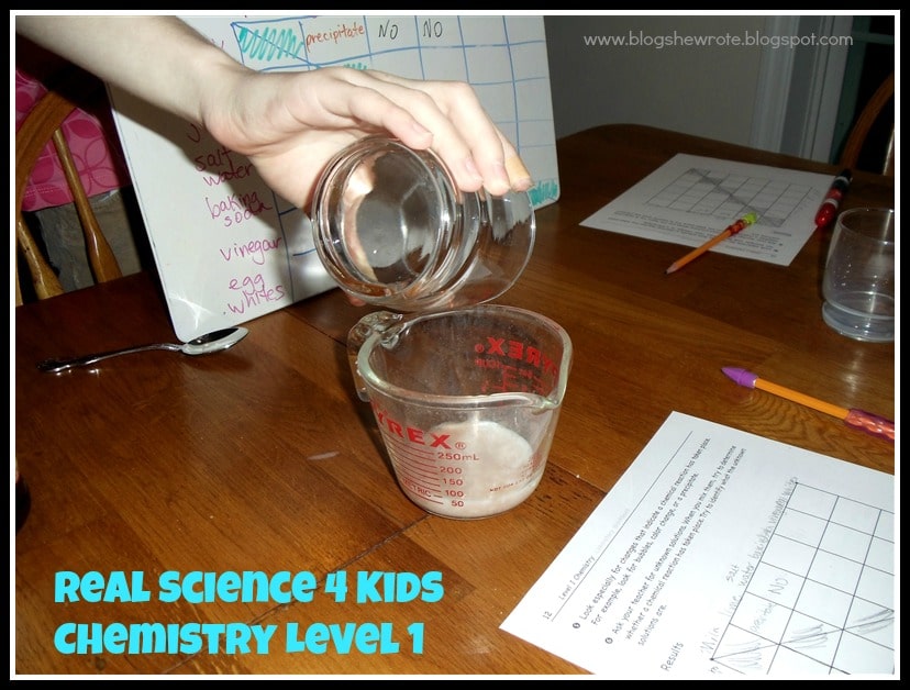 Real Science 4 Kids {Chemistry Level 1}