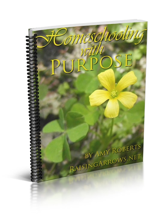 Homeschooling with Purpose Offers Solid Encouragement to Mothers