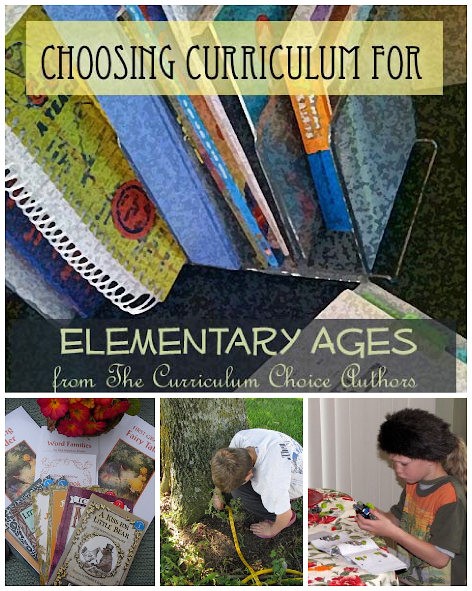 Choosing Elementary Homeschool Curriculum