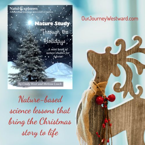 Nature Study Through The Holidays