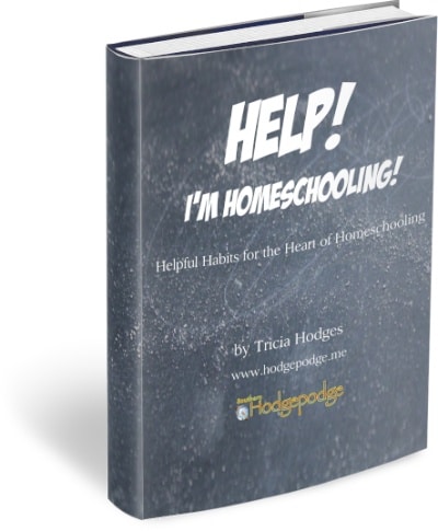 Beat the Homeschool Blues Bundle