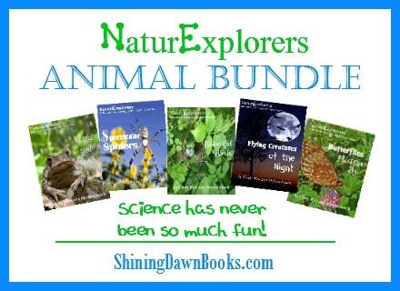 Animal Kingdom Bundle