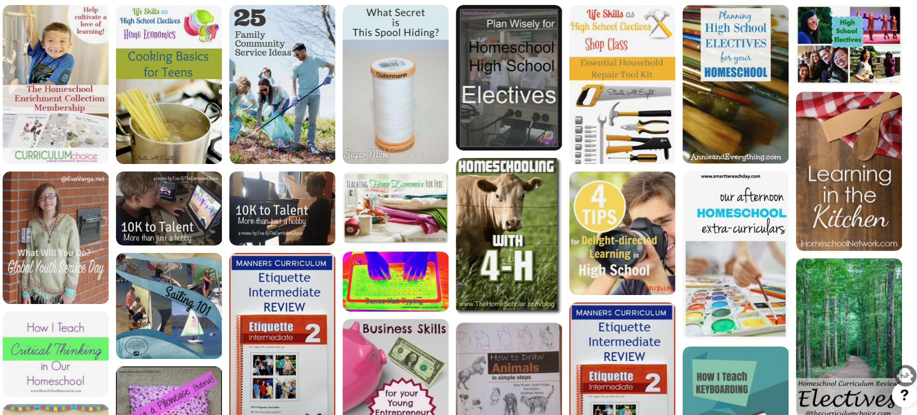 The Curriculum Choice Electives Pinterest Board