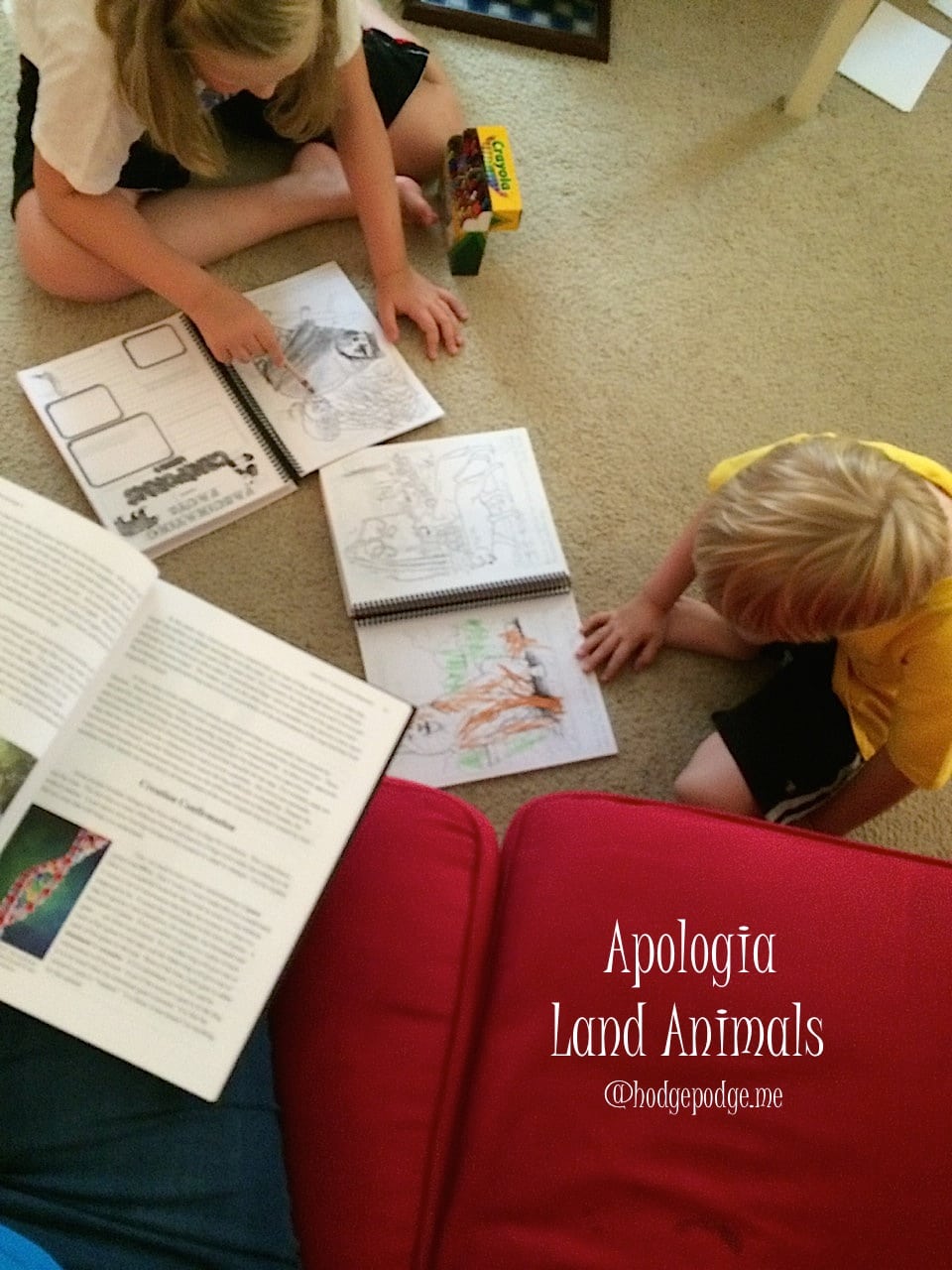 Apologia Land Animals of the Sixth Day Review