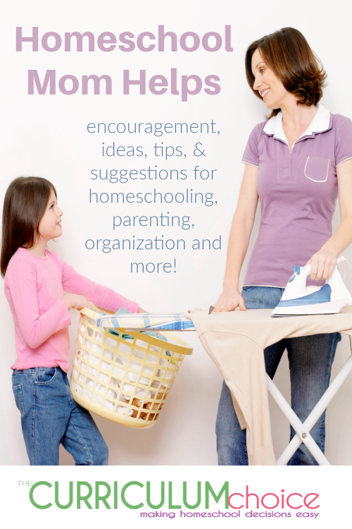 Homeschool Curriculum for 2 Year Olds: Advice from a Veteran Homeschooler -  Teaching Littles