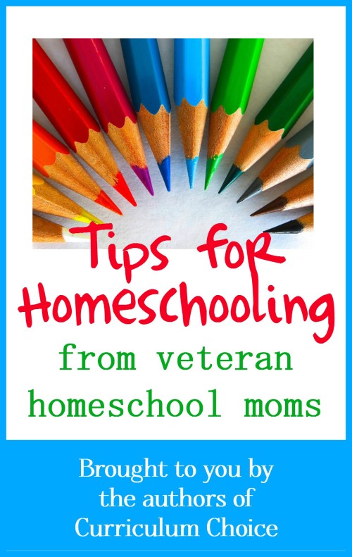 Our team of veteran homeschoolers at The Curriculum Choice is sharing some of their best, well-seasoned, favorite homeschool tips for you today. You will be blessed.