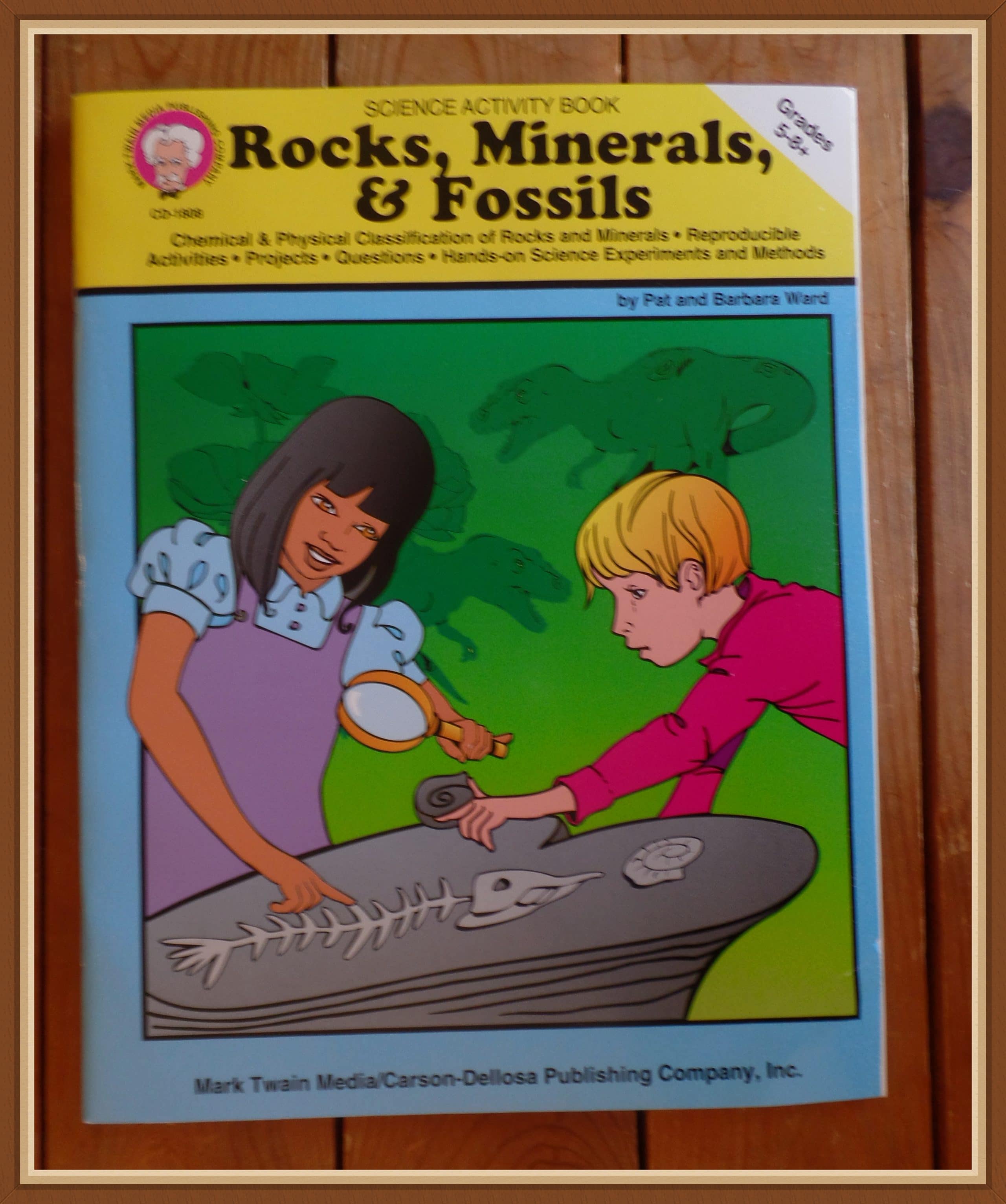Middle School STEM Activity Books – Rocks, Minerals, & Fossils – My Review