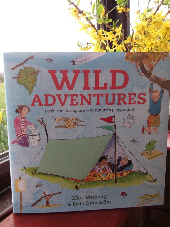 Wild Adventures :: Review