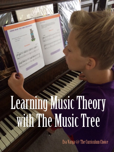 Learning Music Theory with The Music Tree