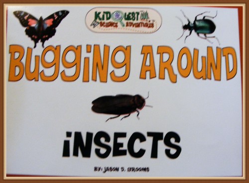 Bugging Around Insects Review (and giveaway!)