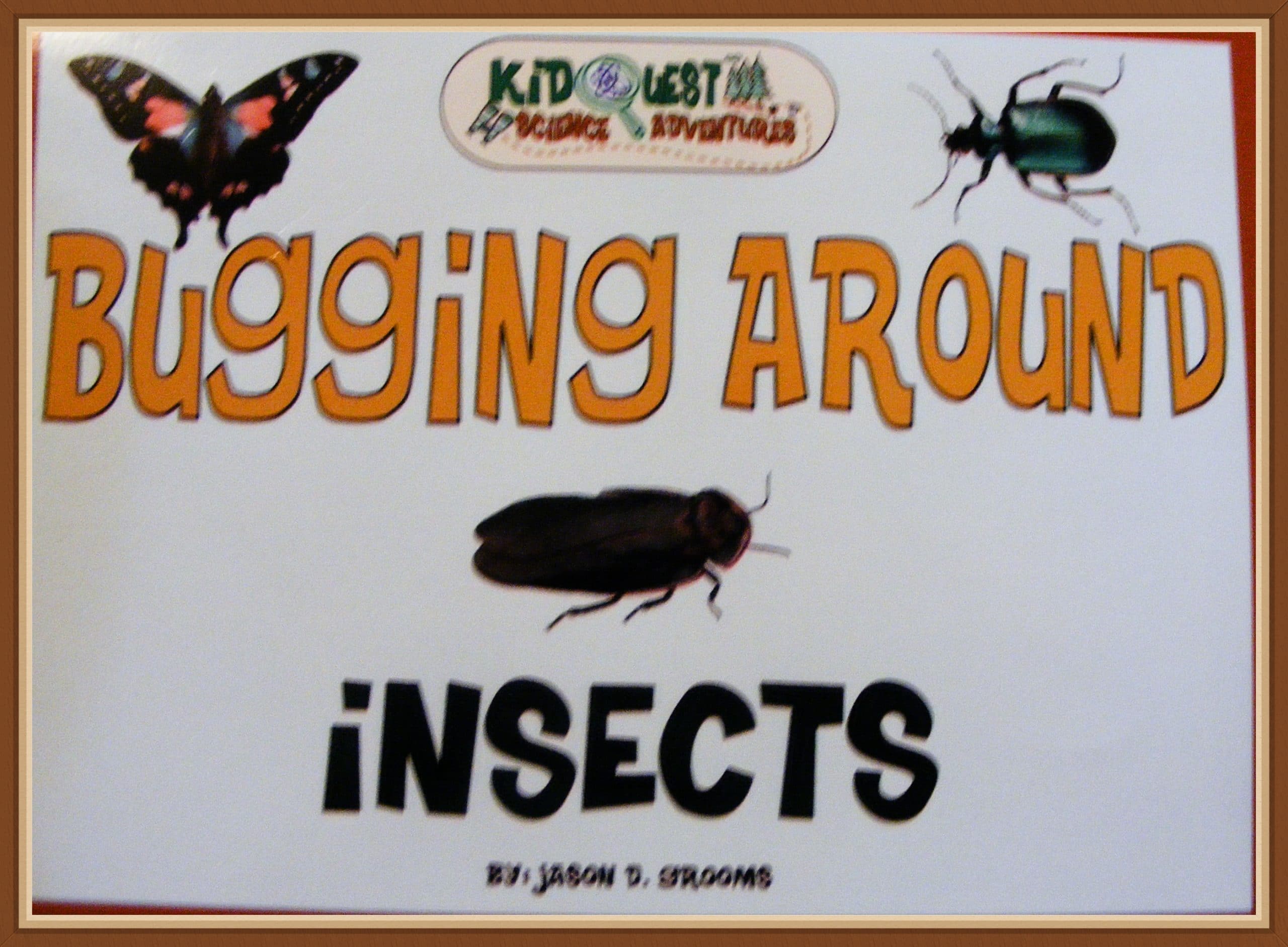 Bugging Around Insects by Kid Qwest – My Review