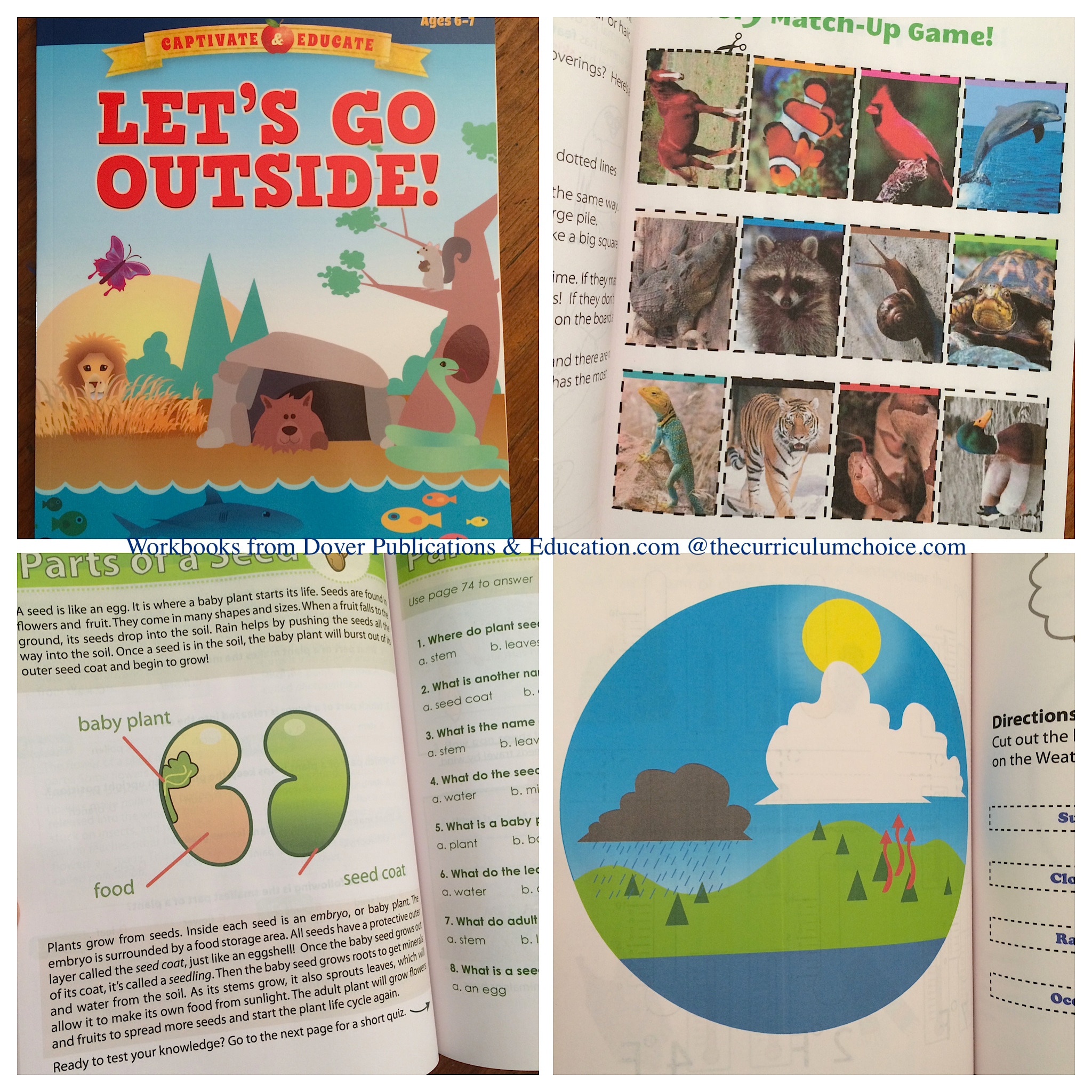 Elementary Workbooks from Dover Publications and Education.com - The ...