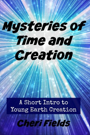 Mysteries of Time and Creation Review by Annie Kate at The Curriculum Choice