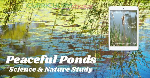 Peaceful Ponds Science & Nature Study from Our Journey Westward is a unit study that incorporates many activities to further pond investigation. It is one of the many NaturExplorers Nature Unit Studies.