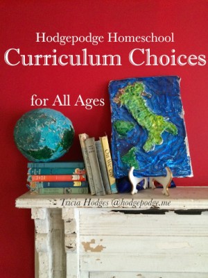 Our Homeschool Curriculum Choices - The Curriculum Choice