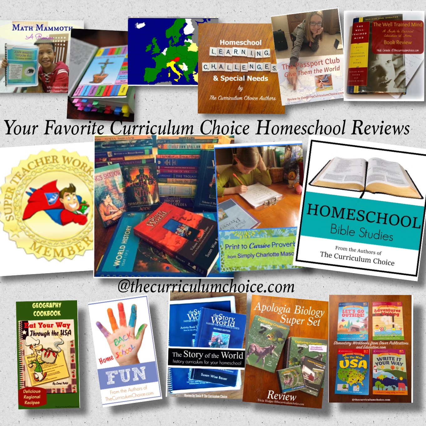 Your Favorite Homeschool Curriculum Choice Reviews