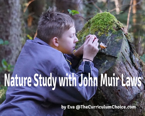 Nature Study with John Muir Laws
