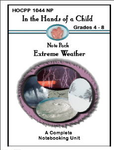 In The Hands Of A Child: Wild Weather