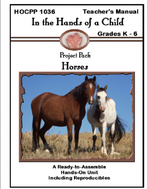 In the Hands of a Child Lapbook: Horses