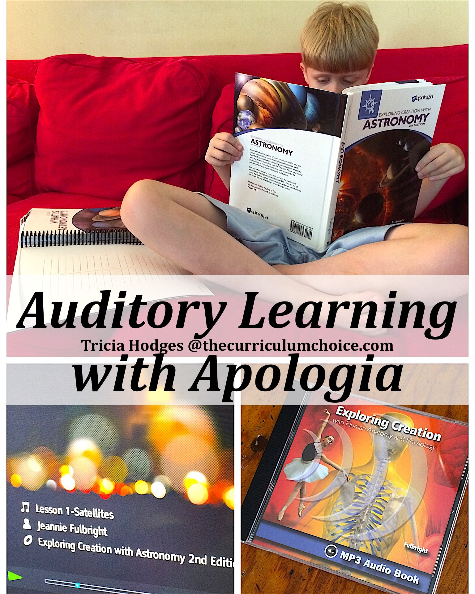 auditory learning strategies