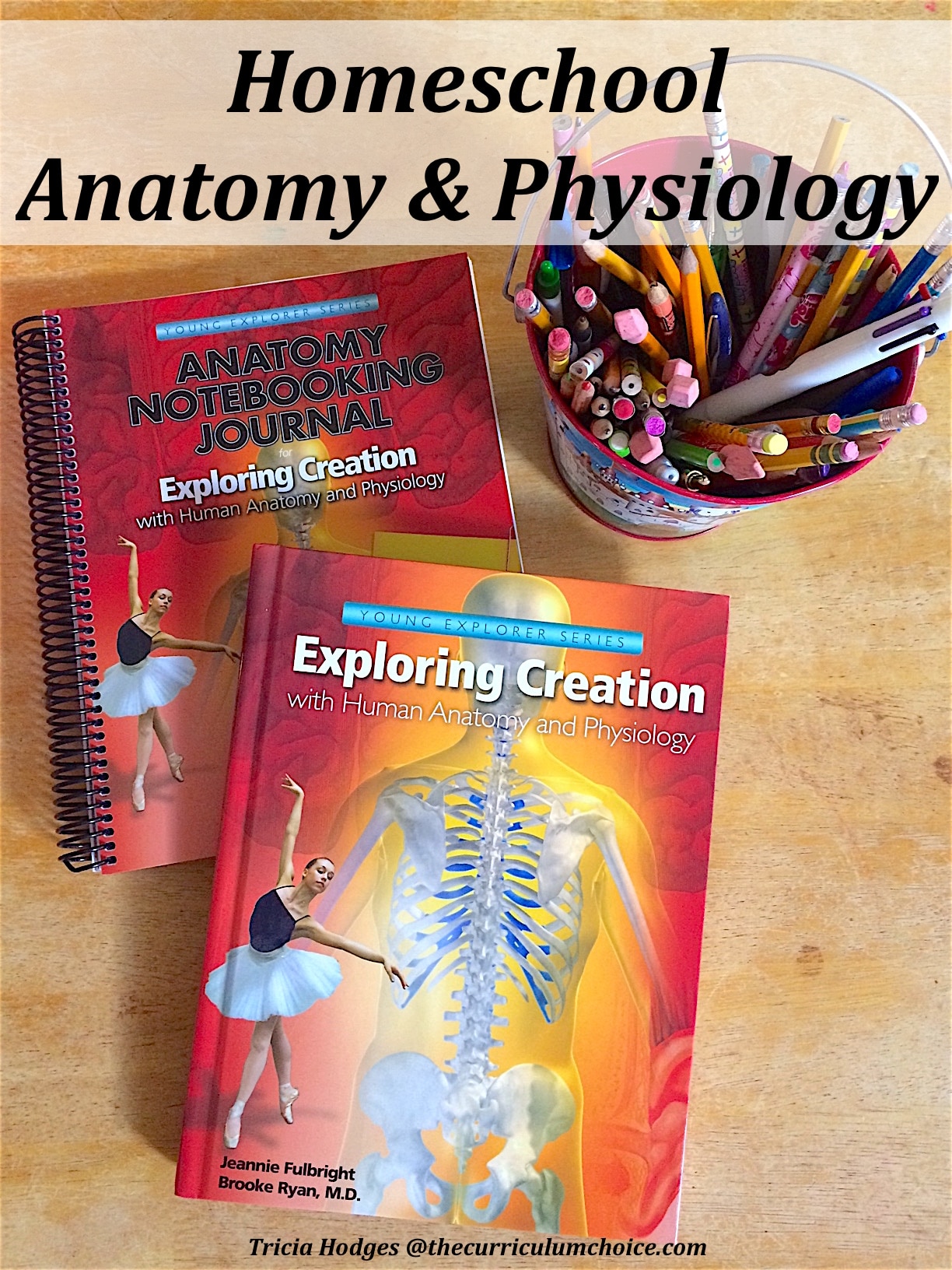 Homeschool Anatomy and Physiology