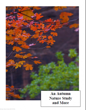 An Autumn Round Up of Resources from Curr Click