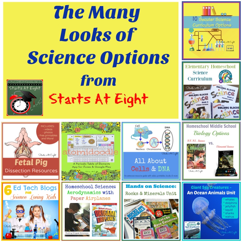Homeschool Curriculum Pre-k Science
