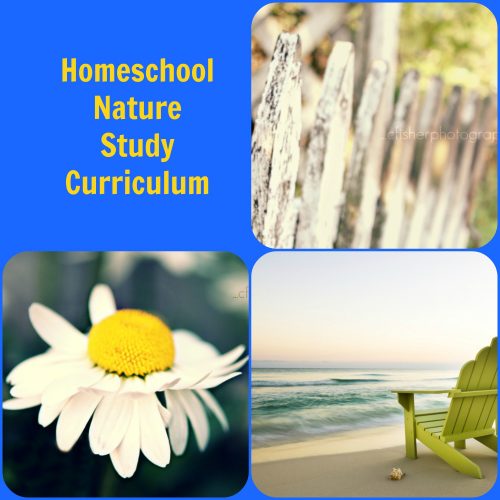 Homeschool Nature Study Curriculum