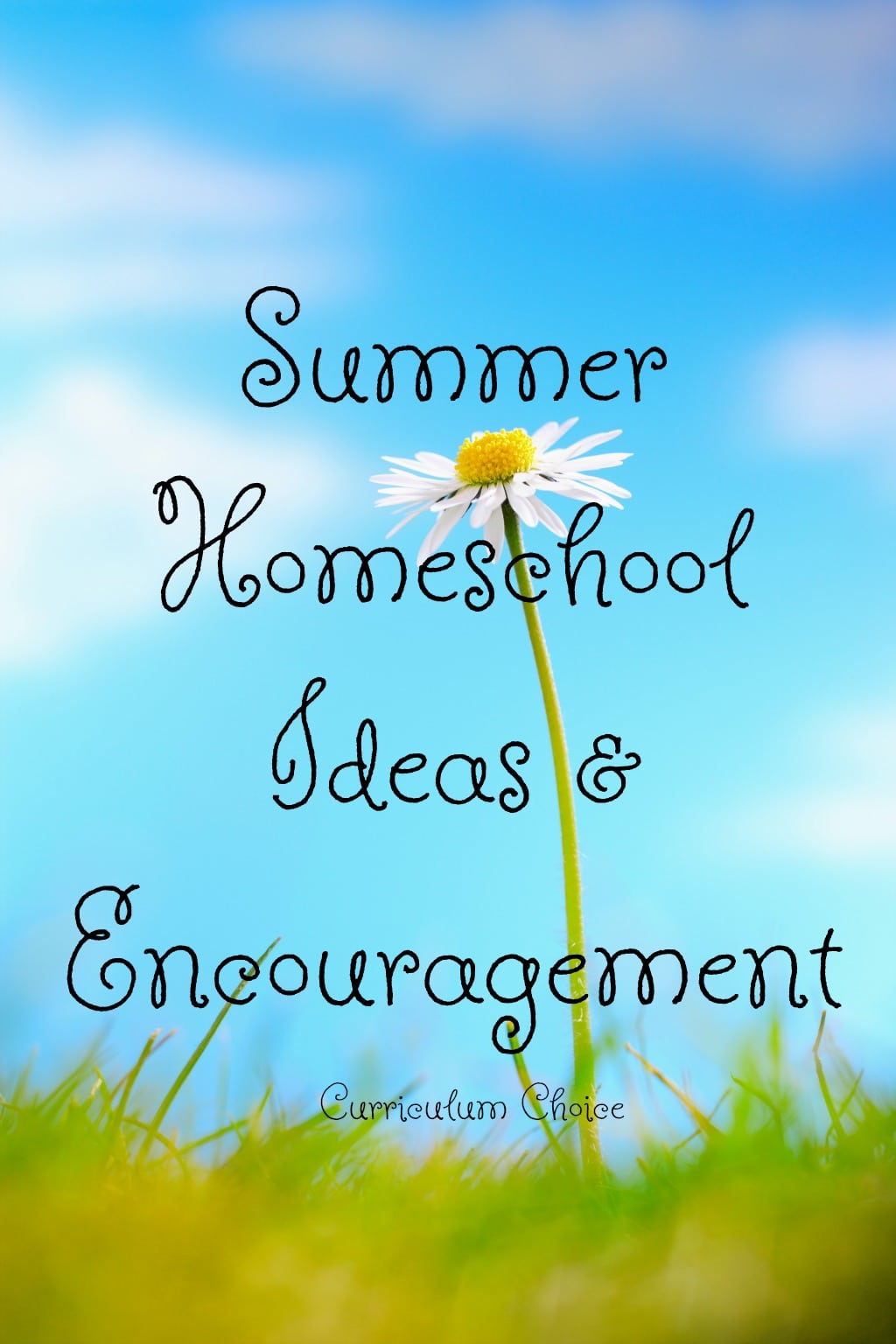 Summer Homeschool Ideas & Encouragement