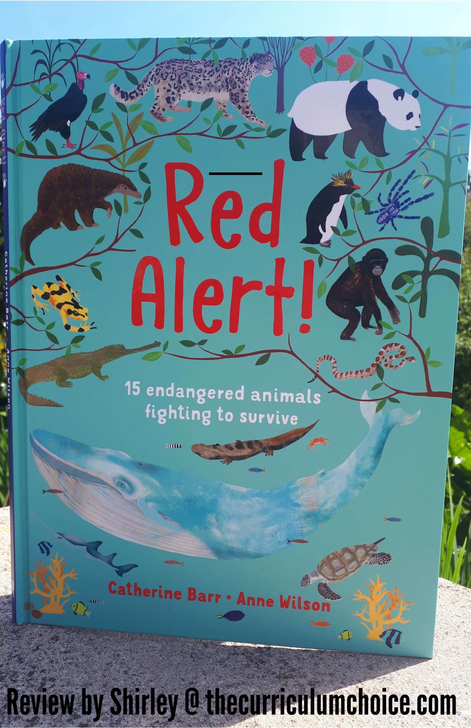 Red Alert! 15 Endangered Animals Fighting to Survive