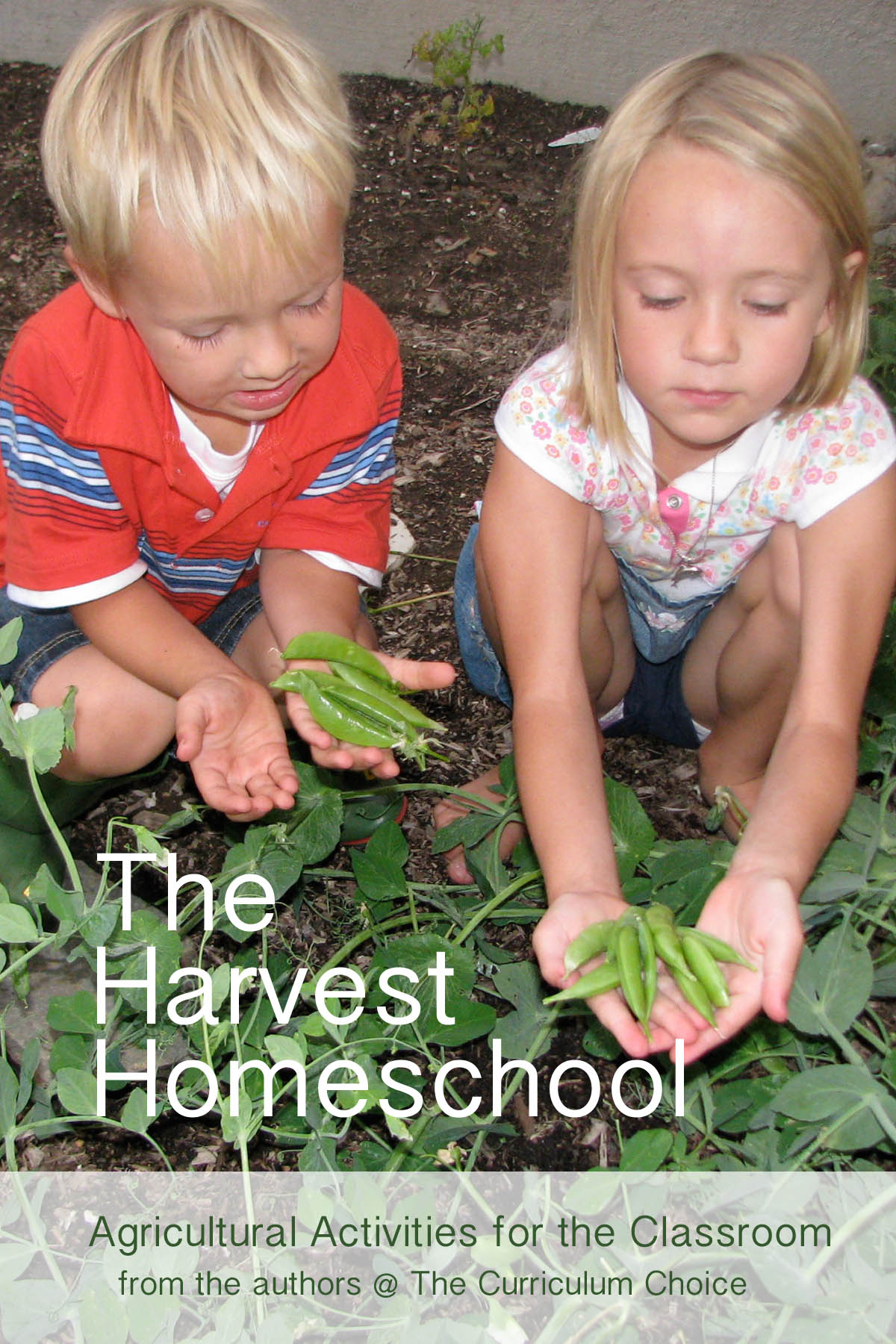 The Harvest Homeschool: Agricultural Activities for the Classroom