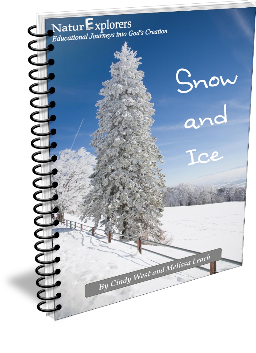 NaturExplorers :: Snow and Ice Nature Study