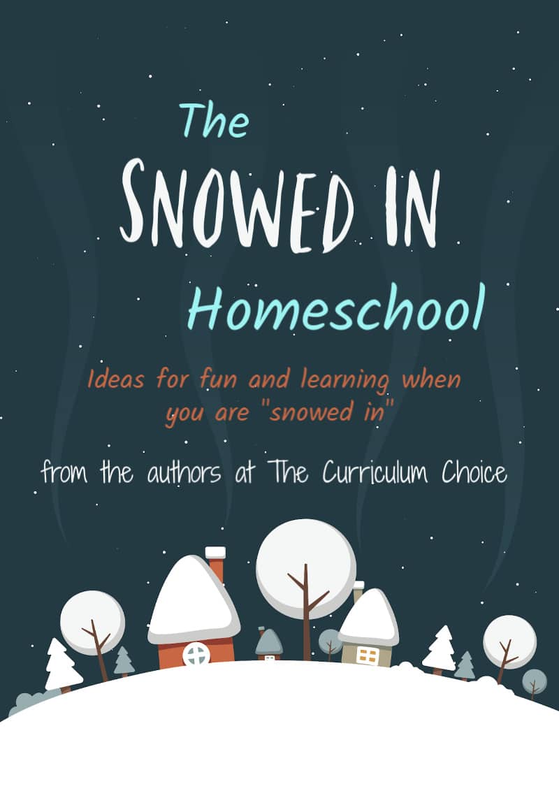 Snowed in Homeschool – What to do when you can’t get outside!