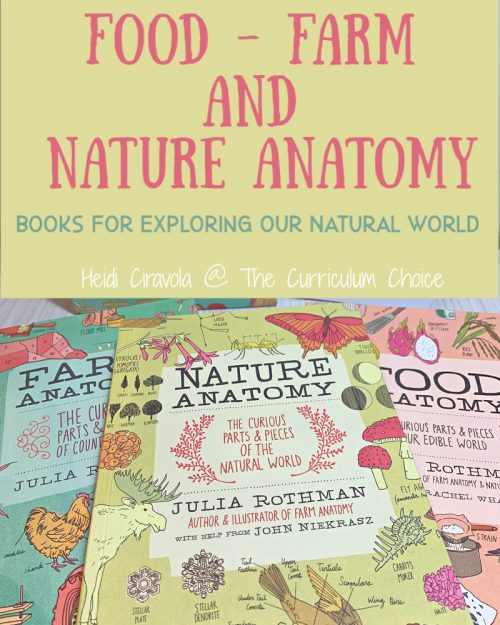 Farm Food and Nature Anatomy: Books to Explore our Natural World are 3 beautifully illustrated, wholly educational, and fun. They are a great addition to any nature study and a must have on any homeschool bookshelf! from Heidi Ciravola @The Curriculum Choice