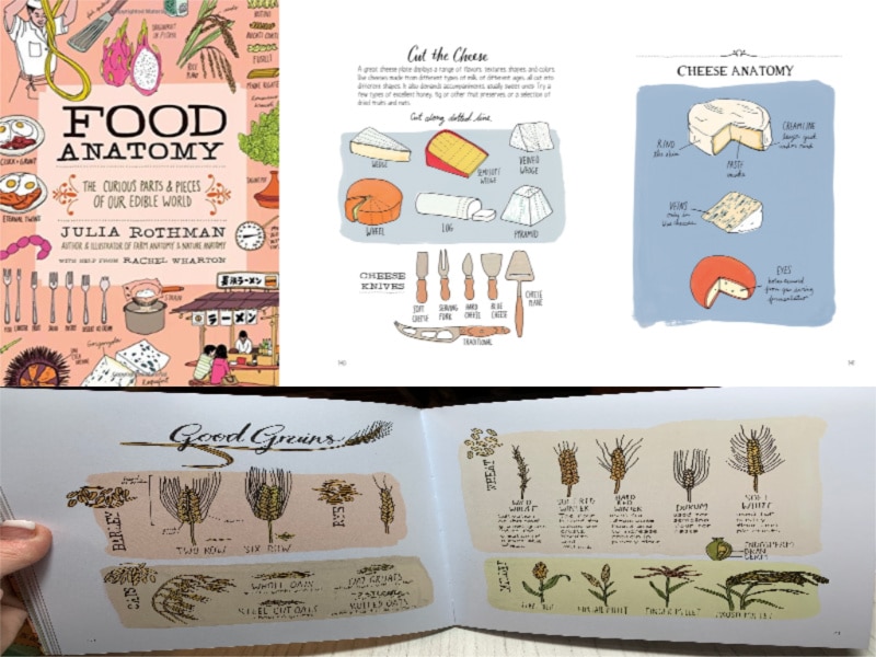 Farm Food and Nature Anatomy: Books to Explore our Natural World are 3 beautifully illustrated, wholly educational, and fun. They are a great addition to any nature study and a must have on any homeschool bookshelf!