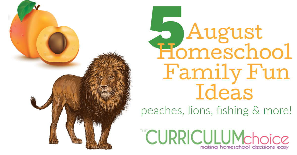5 August Homeschool Family Fun Ideas