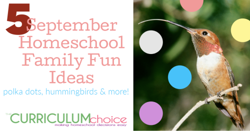 Celebrate the last official days of summer! Make every day a holiday with those you love. Enjoy these 5 September homeschool family fun ideas. From The Curriculum Choice